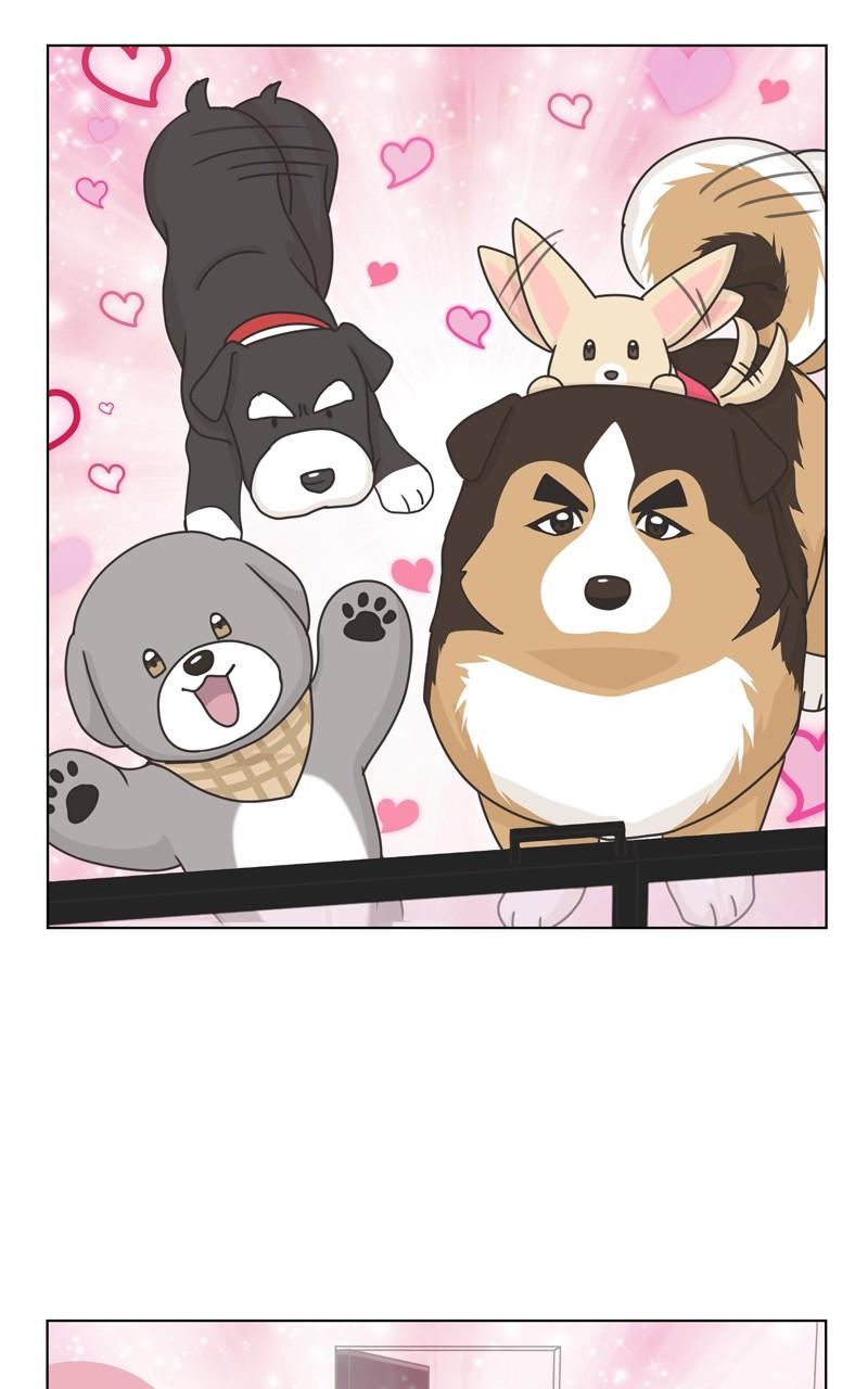 The Dog Diaries Chap 105 - Next Chap 106