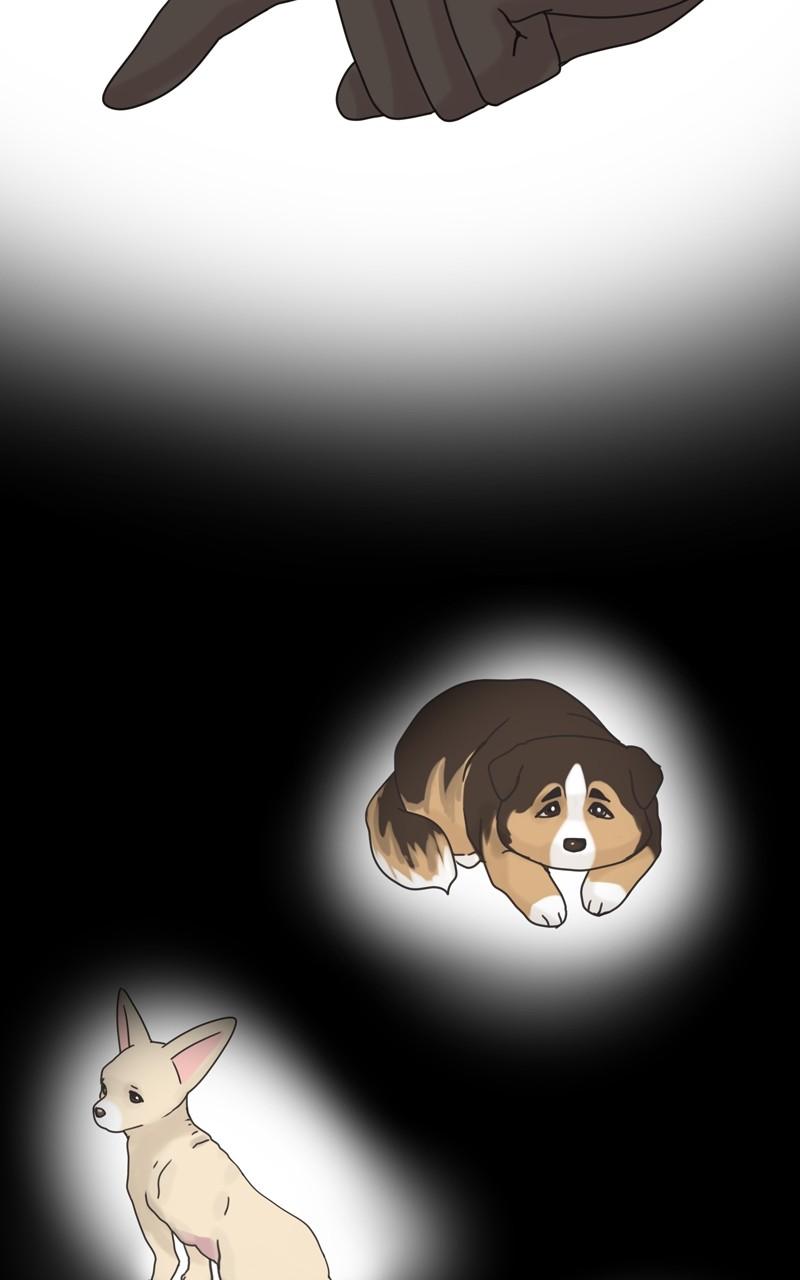 The Dog Diaries Chap 102 - Next Chap 103