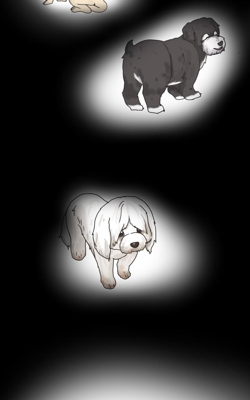 The Dog Diaries Chap 102 - Next Chap 103