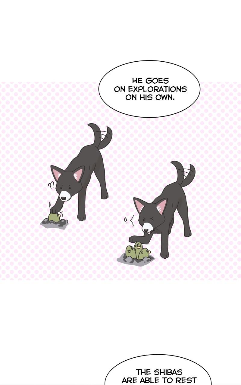 The Dog Diaries Chap 102 - Next Chap 103