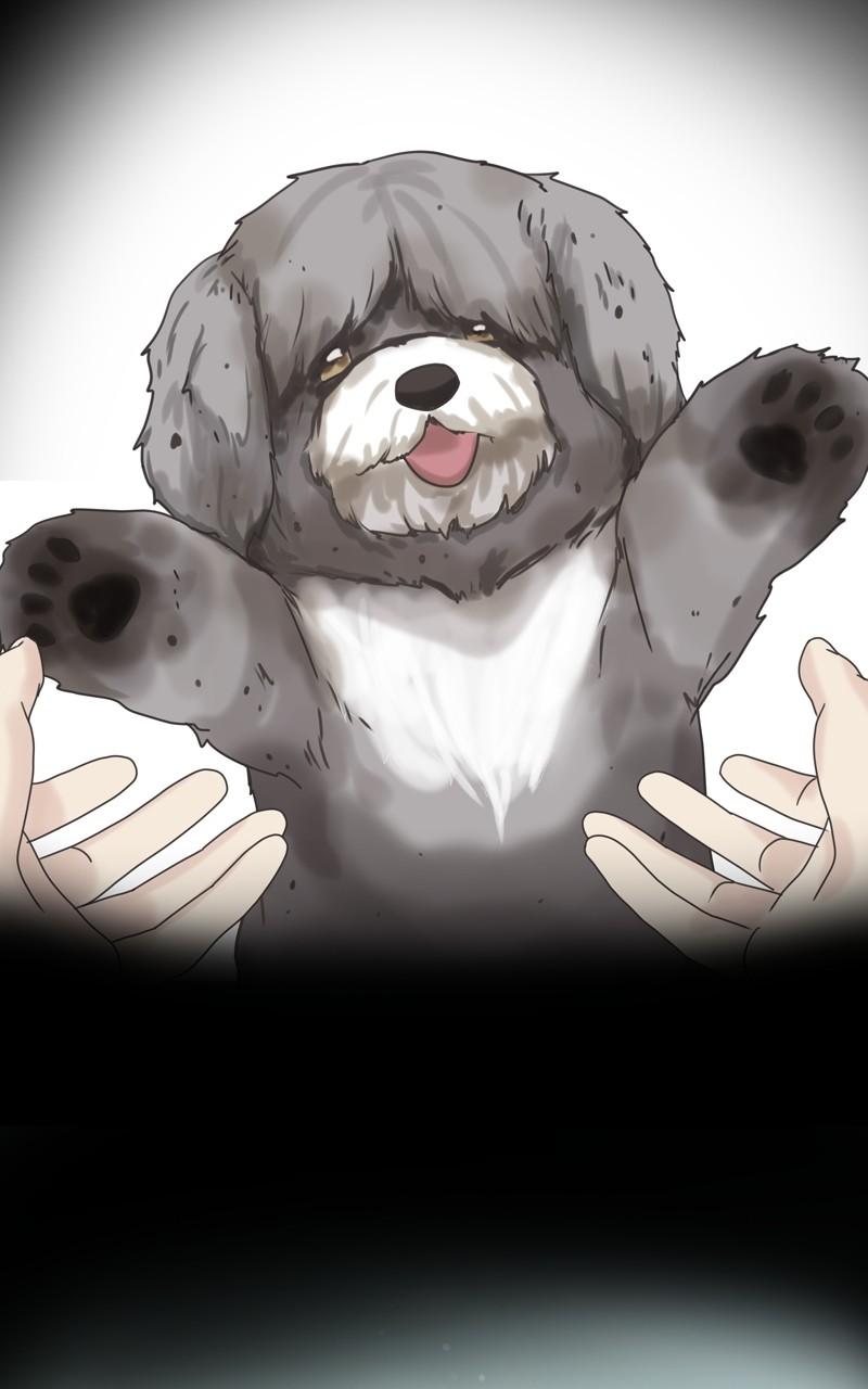The Dog Diaries Chap 102 - Next Chap 103