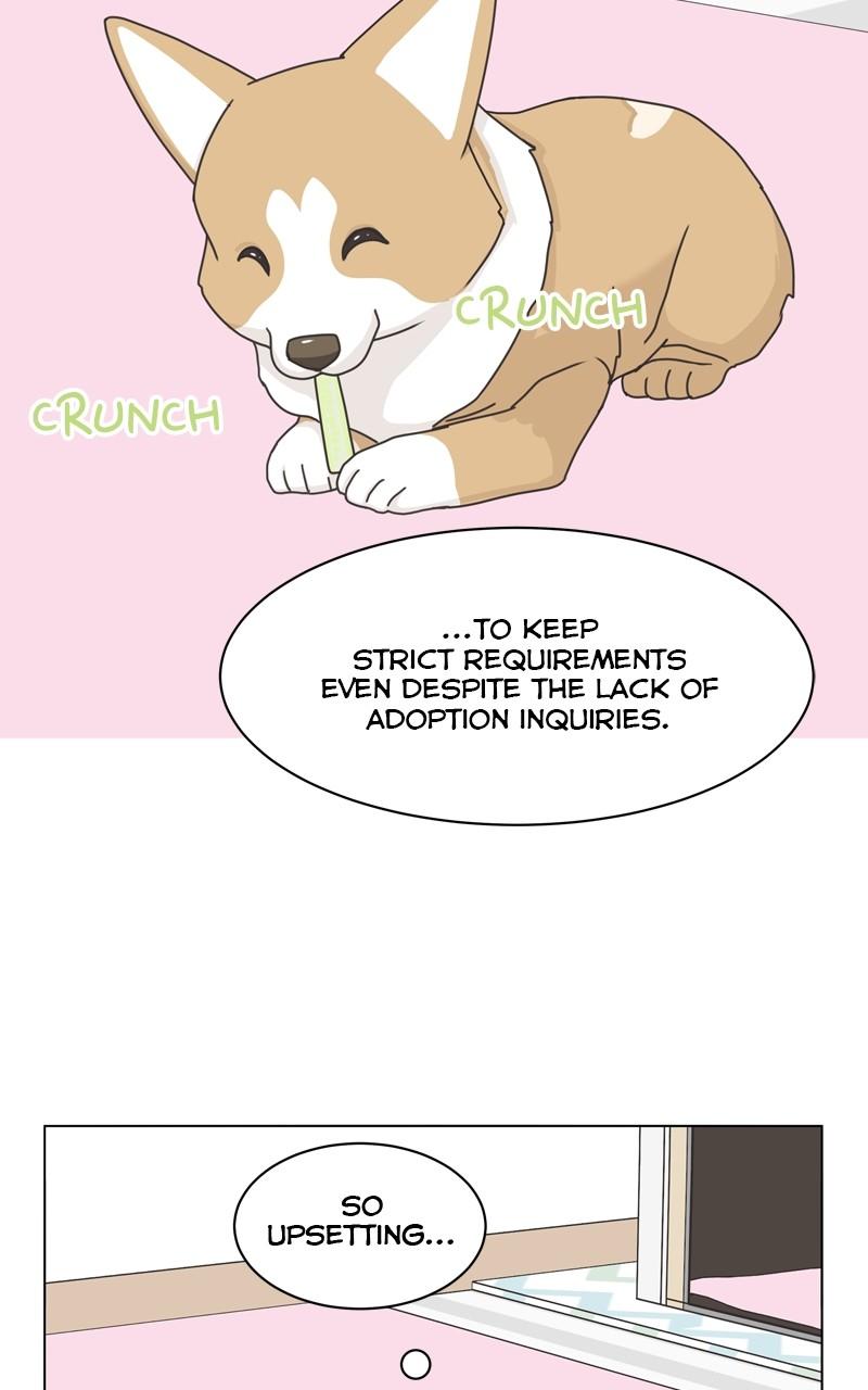 The Dog Diaries Chap 103 - Next Chap 104