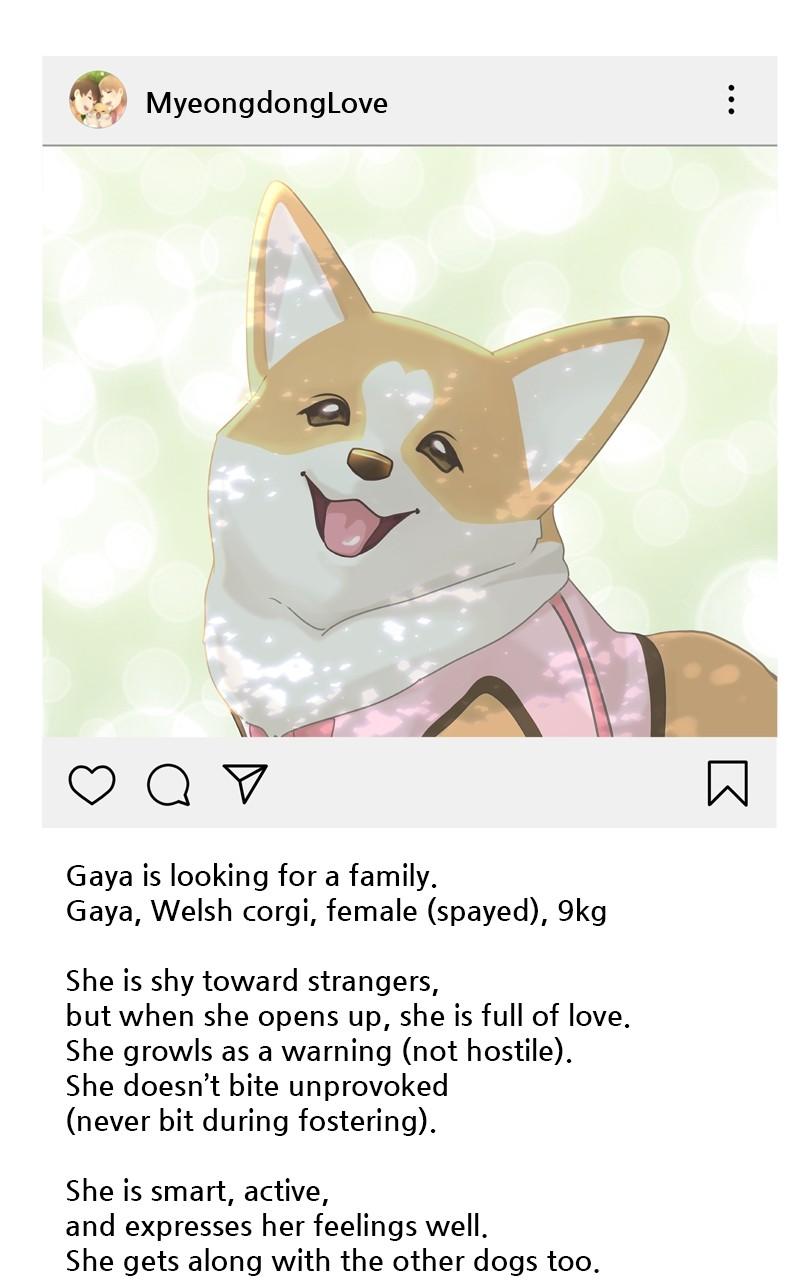 The Dog Diaries Chap 103 - Next Chap 104
