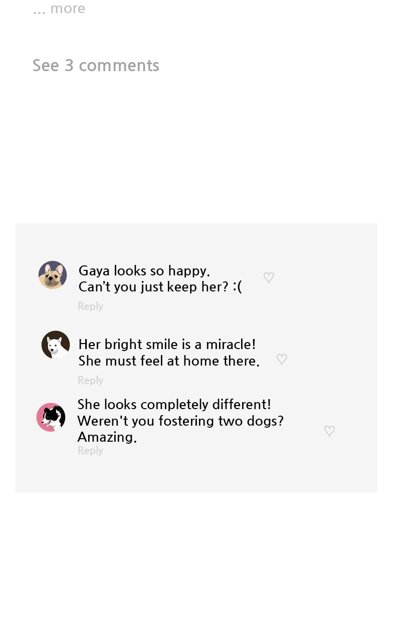 The Dog Diaries Chap 103 - Next Chap 104