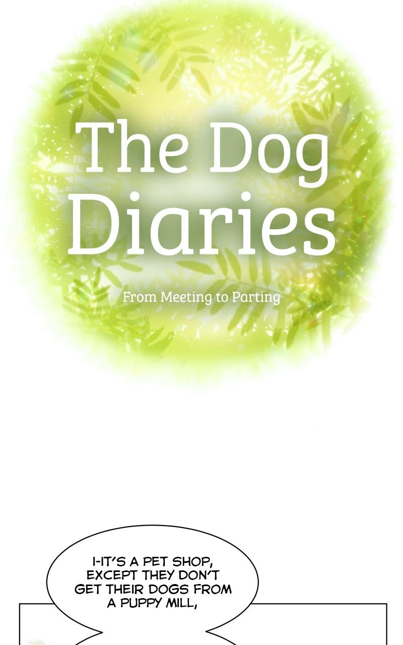 The Dog Diaries Chap 103 - Next Chap 104