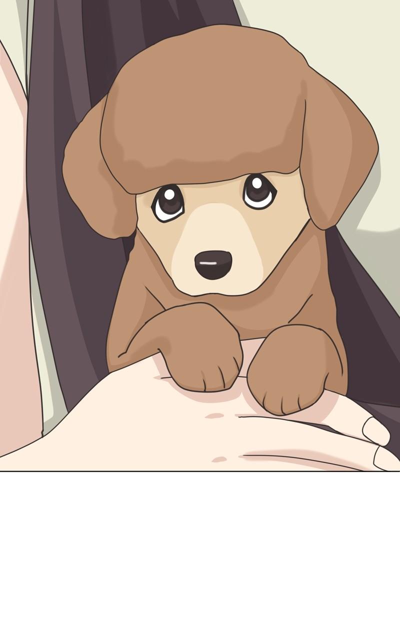 The Dog Diaries Chap 103 - Next Chap 104