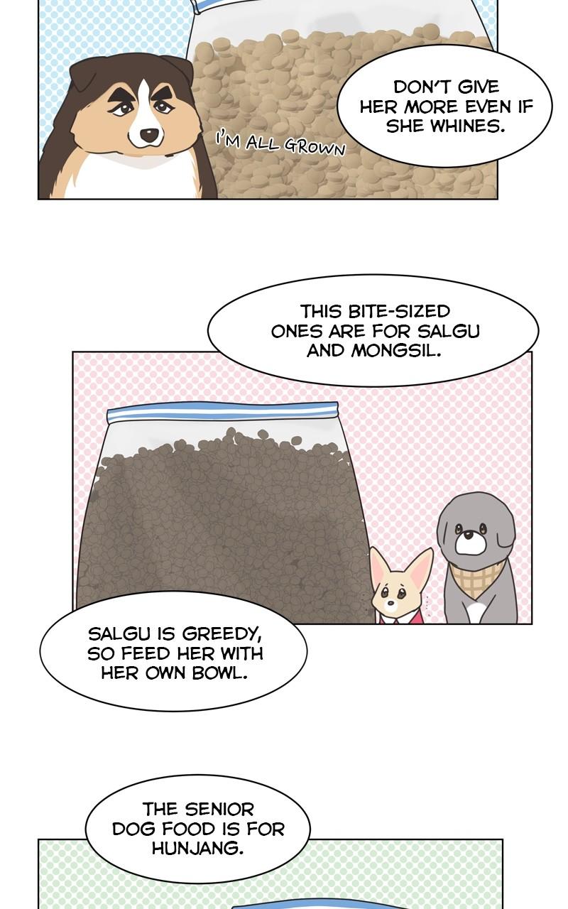 The Dog Diaries Chap 103 - Next Chap 104