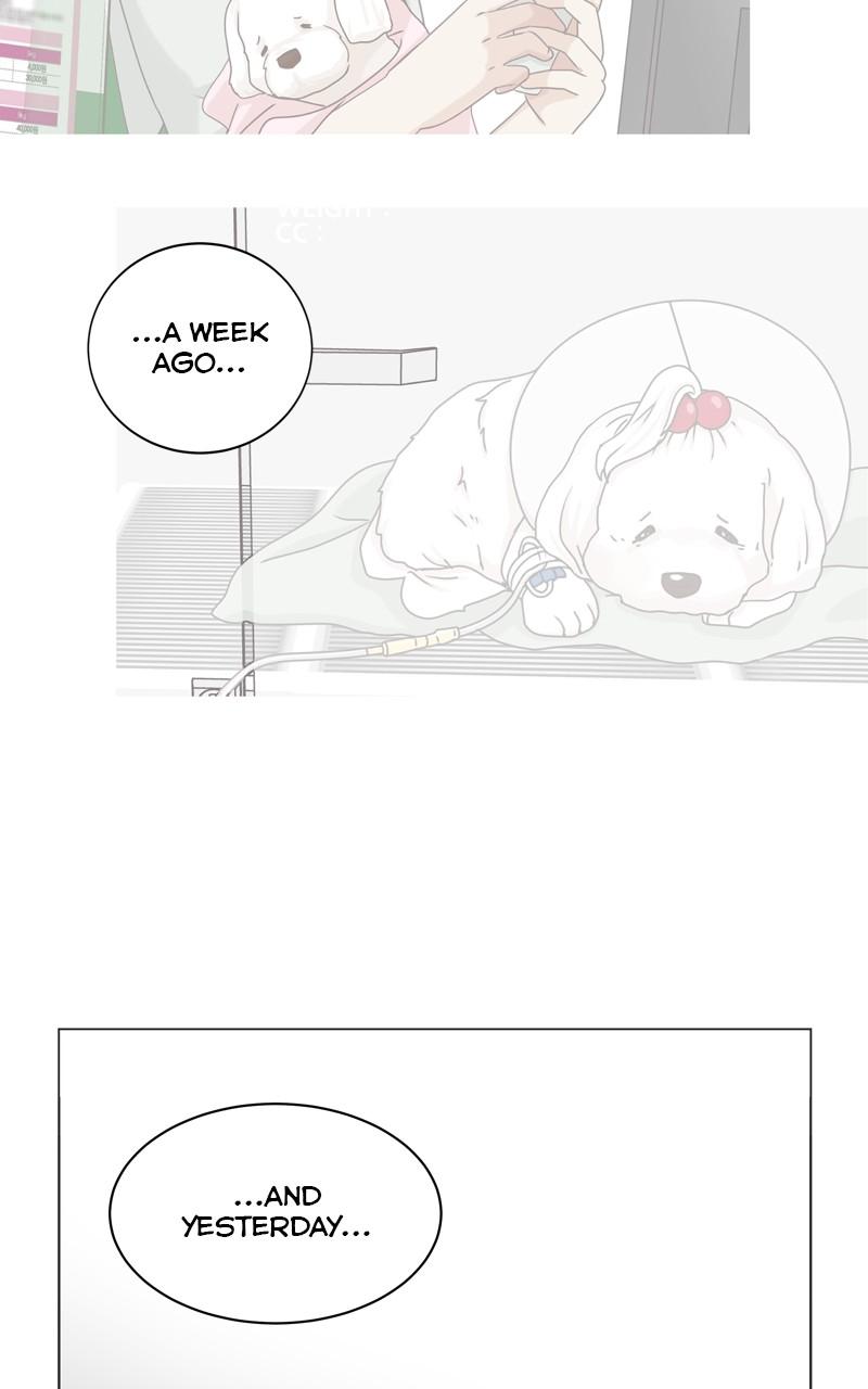 The Dog Diaries Chap 103 - Next Chap 104