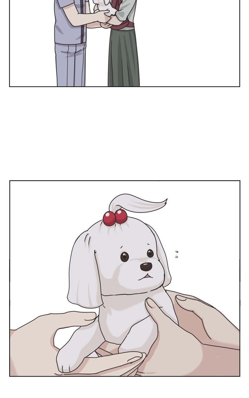 The Dog Diaries Chap 104 - Next Chap 105