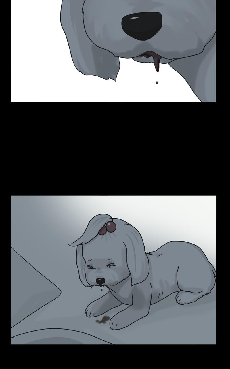The Dog Diaries Chap 104 - Next Chap 105