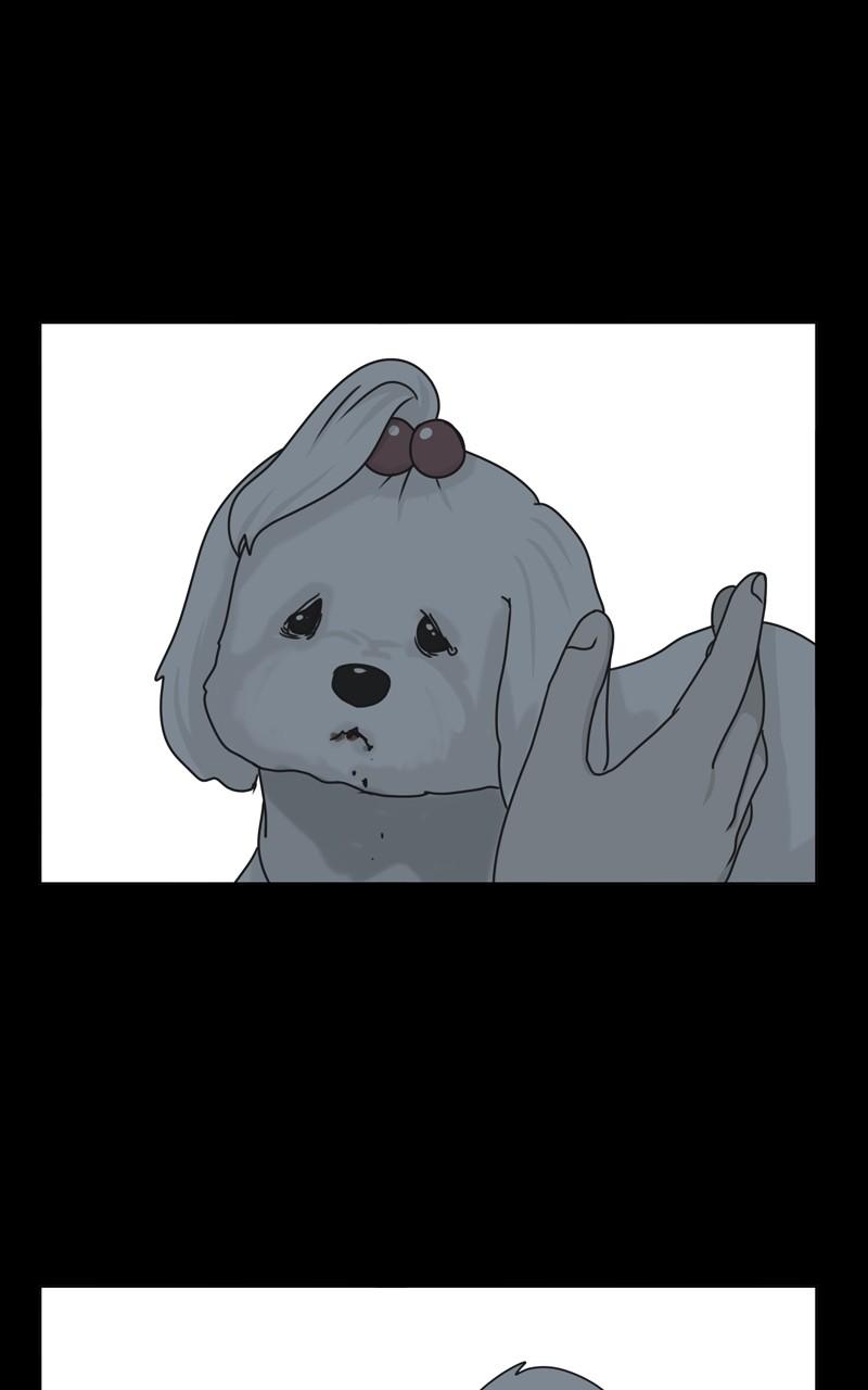 The Dog Diaries Chap 104 - Next Chap 105