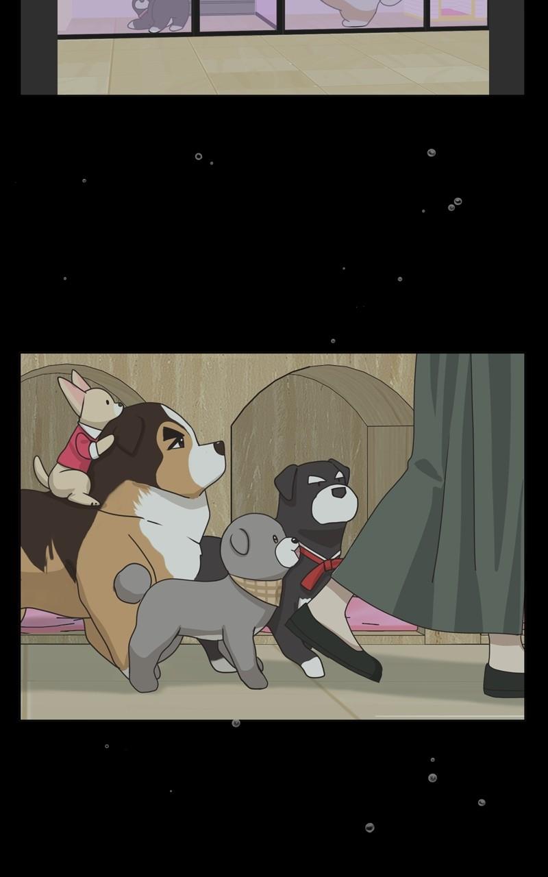 The Dog Diaries Chap 107 - Next Chap 108