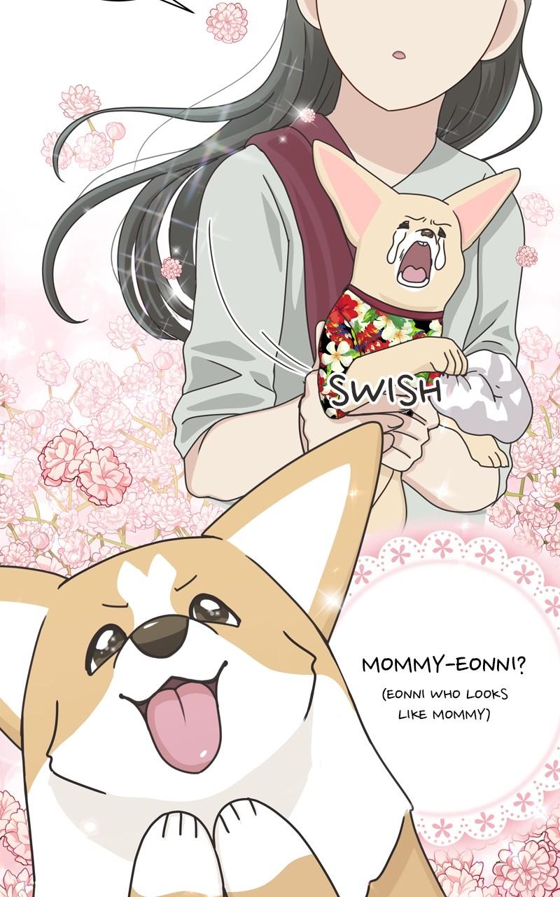 The Dog Diaries Chap 107 - Next Chap 108