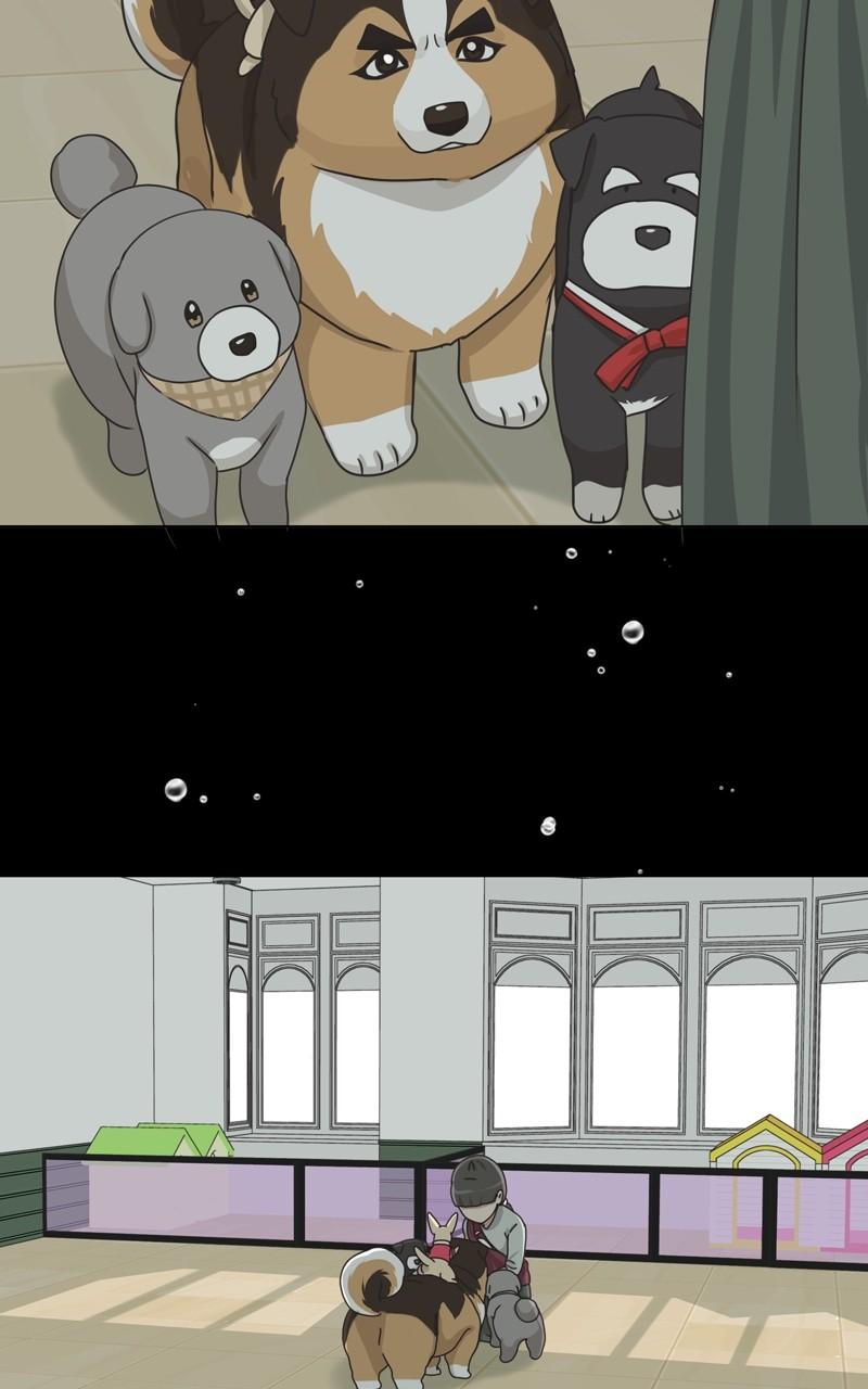 The Dog Diaries Chap 107 - Next Chap 108