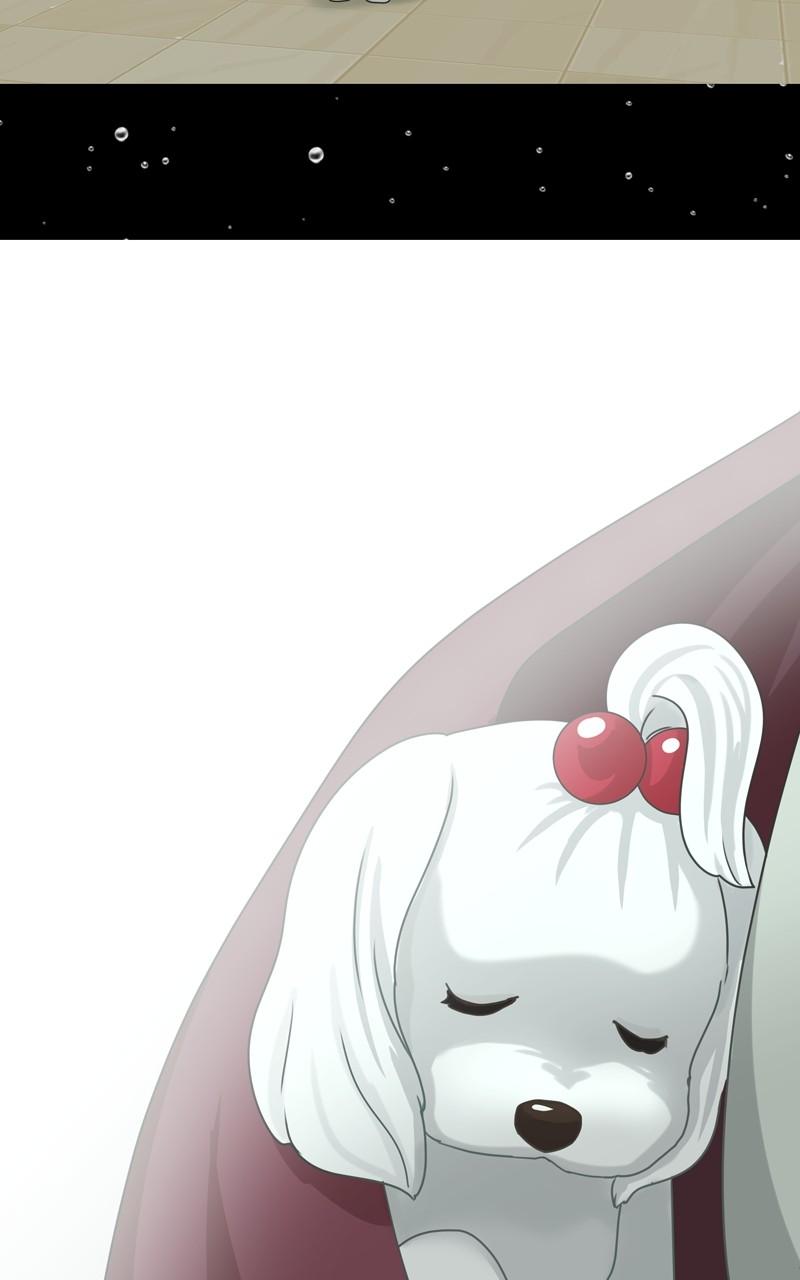 The Dog Diaries Chap 107 - Next Chap 108