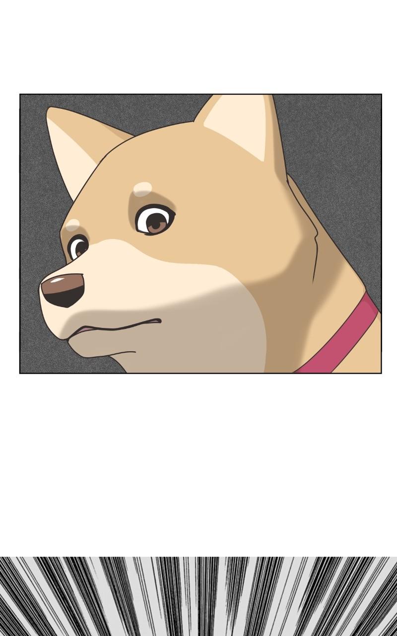 The Dog Diaries Chap 98 - Next Chap 99