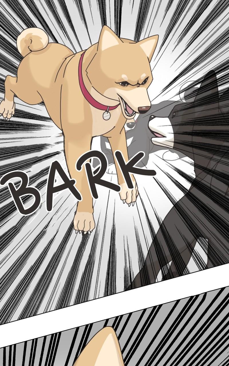 The Dog Diaries Chap 98 - Next Chap 99