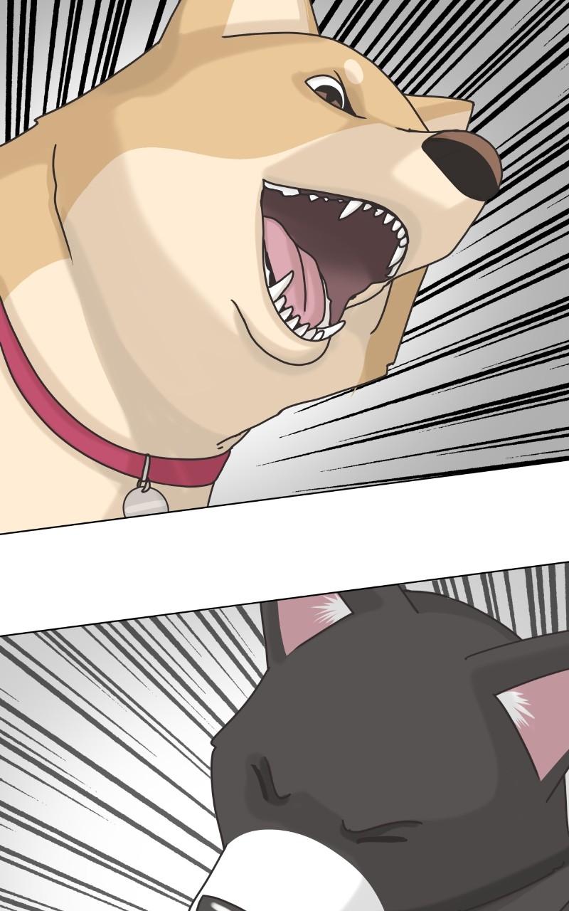 The Dog Diaries Chap 98 - Next Chap 99