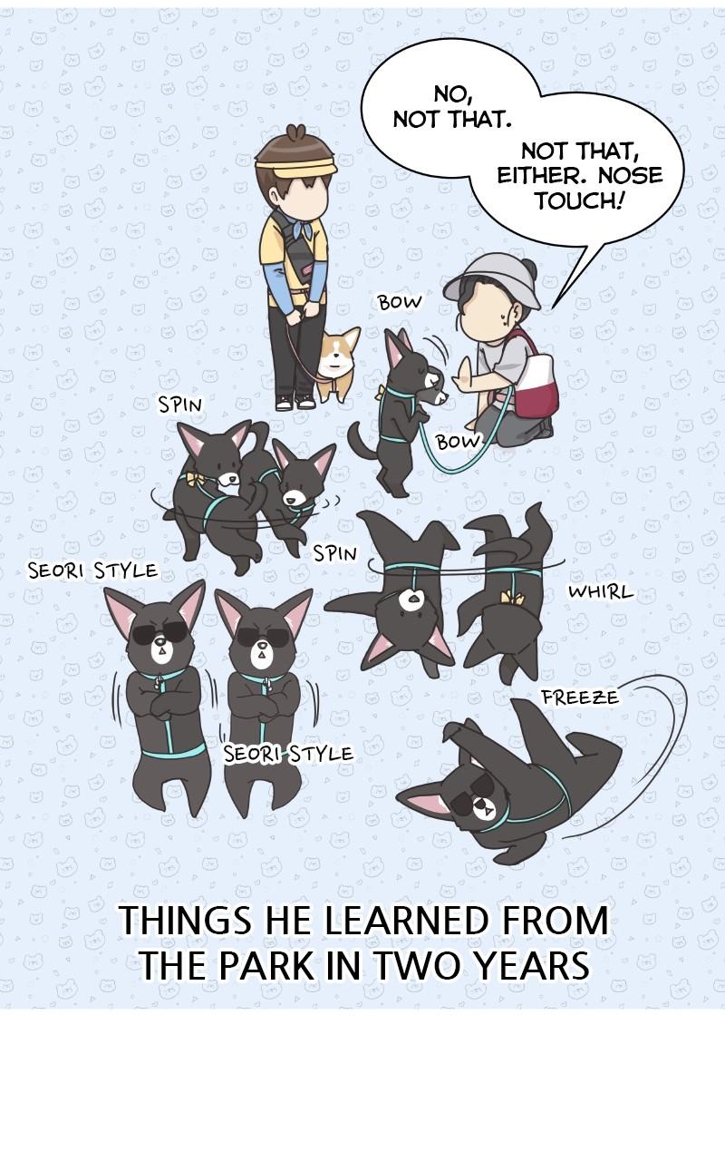 The Dog Diaries Chap 98 - Next Chap 99