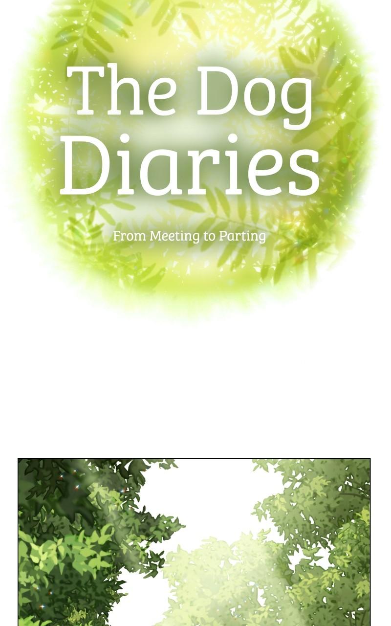 The Dog Diaries Chap 98 - Next Chap 99
