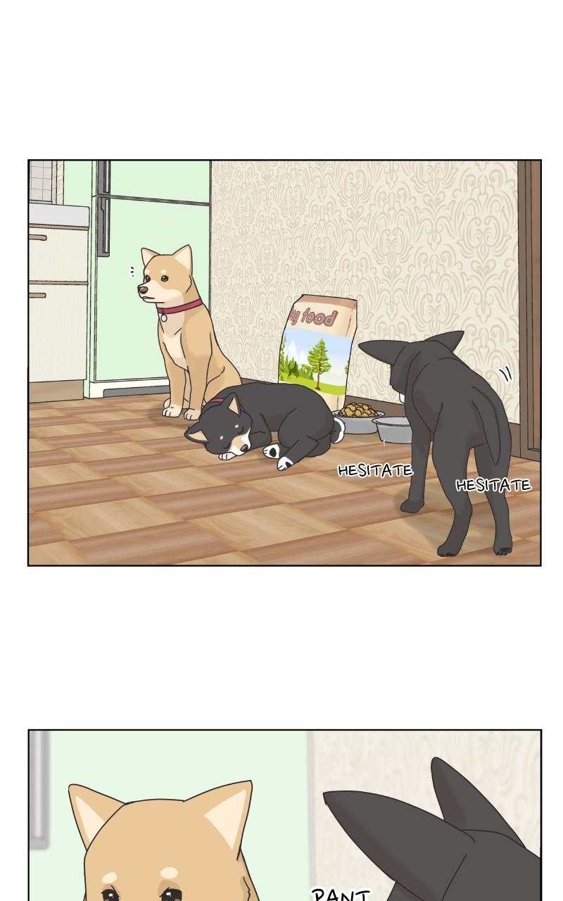 The Dog Diaries Chap 98 - Next Chap 99