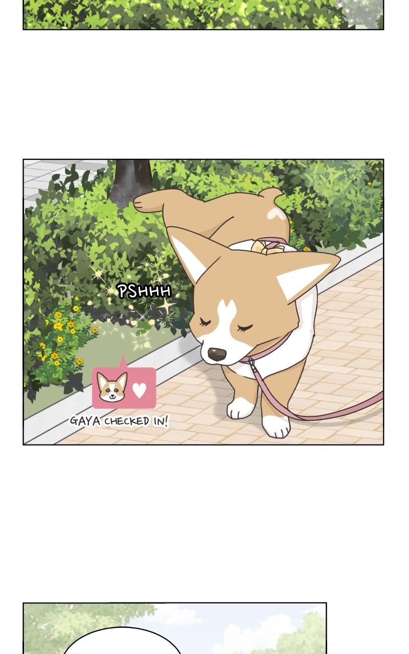 The Dog Diaries Chap 98 - Next Chap 99
