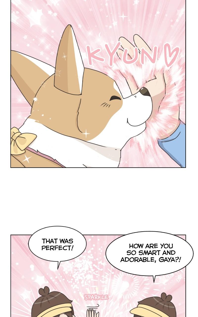 The Dog Diaries Chap 98 - Next Chap 99