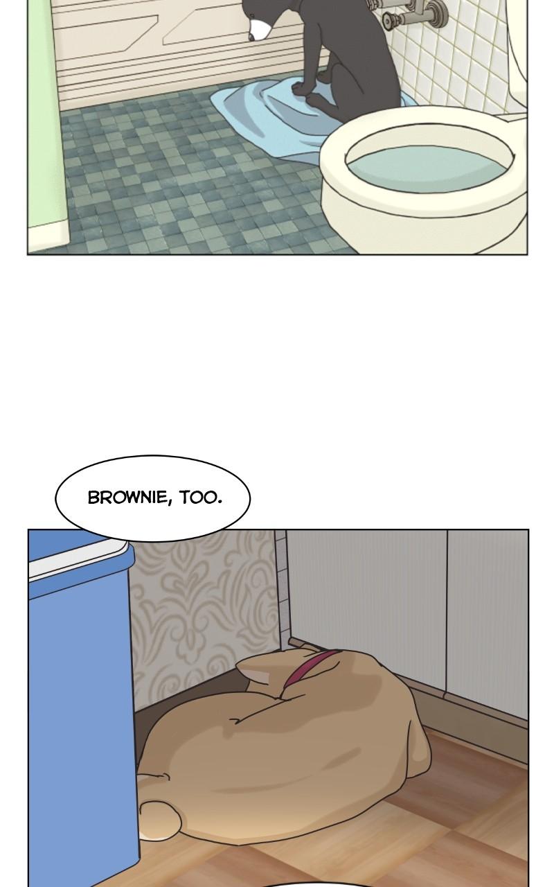 The Dog Diaries Chap 98 - Next Chap 99