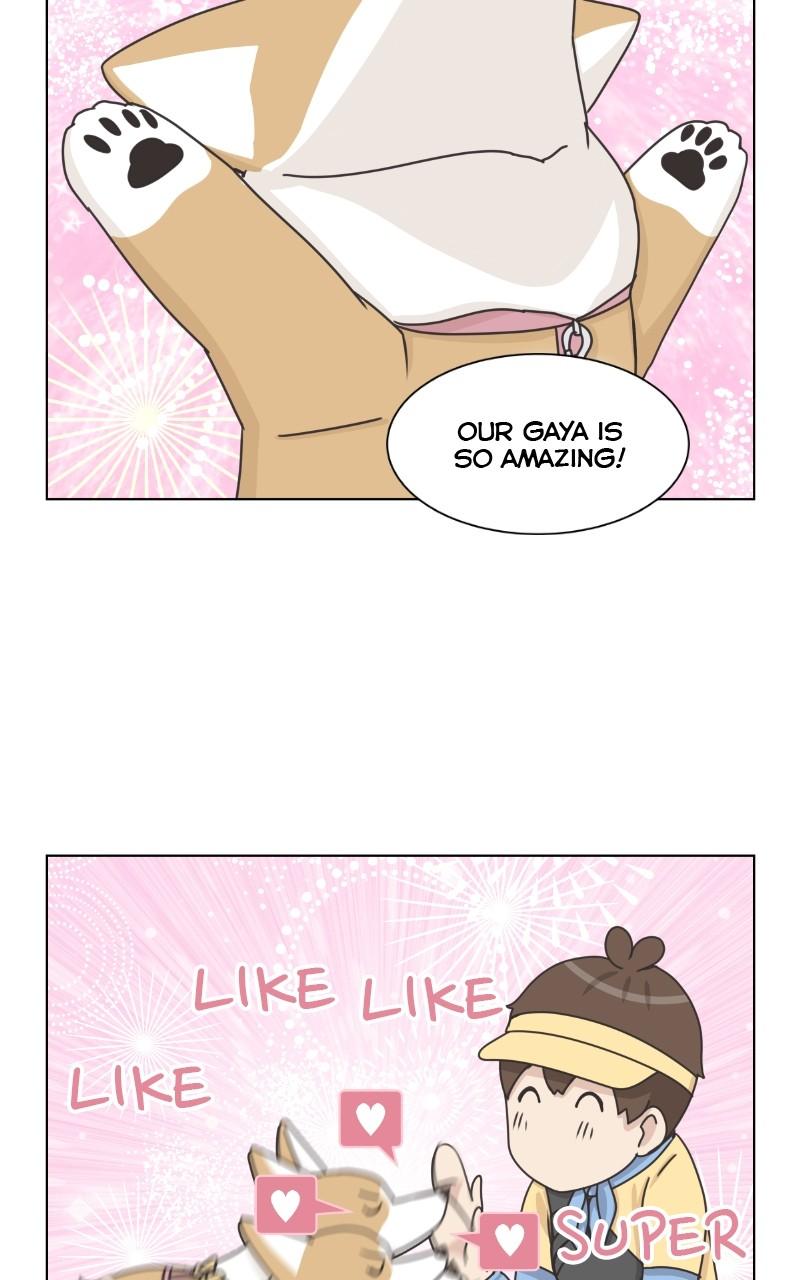 The Dog Diaries Chap 98 - Next Chap 99