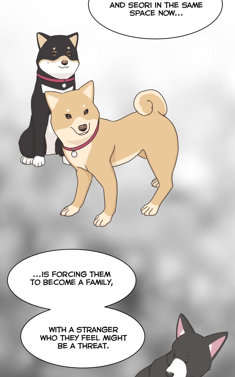 The Dog Diaries Chap 100 - Next Chap 101