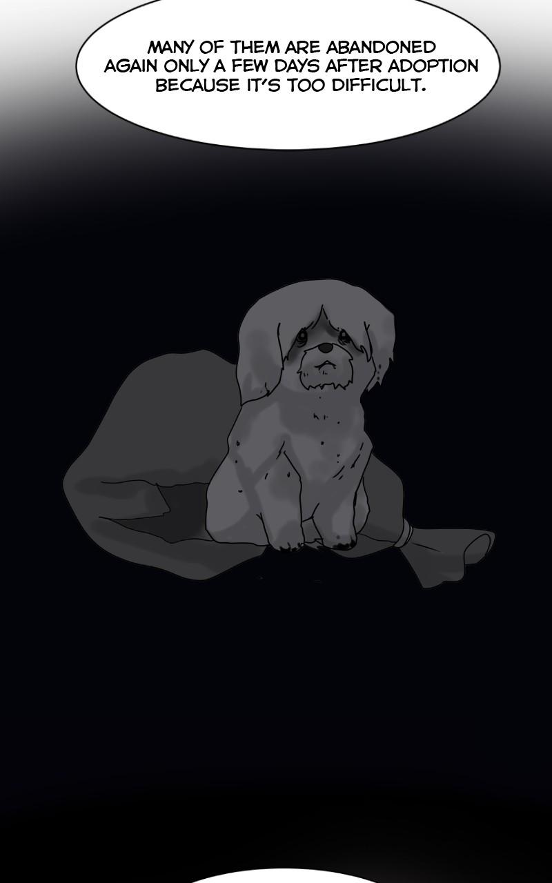 The Dog Diaries Chap 100 - Next Chap 101