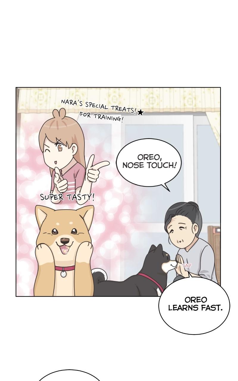 The Dog Diaries Chap 100 - Next Chap 101