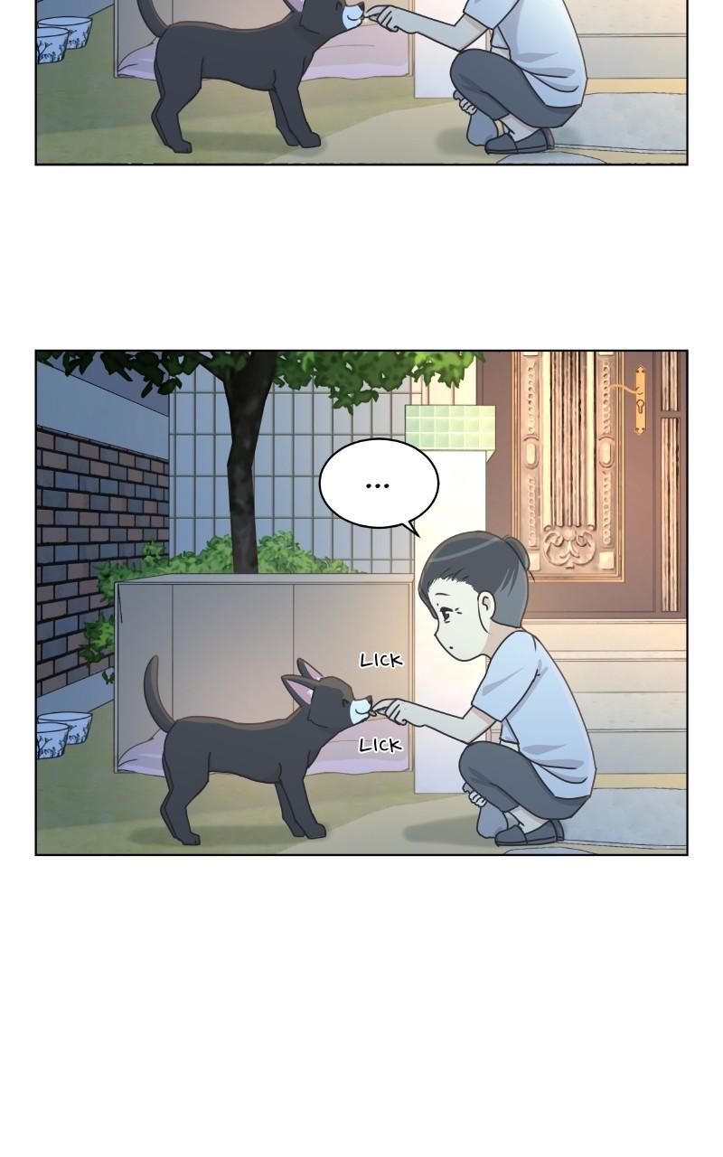 The Dog Diaries Chap 100 - Next Chap 101