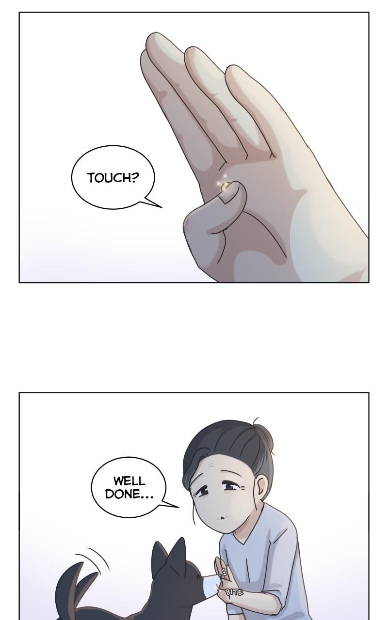 The Dog Diaries Chap 100 - Next Chap 101