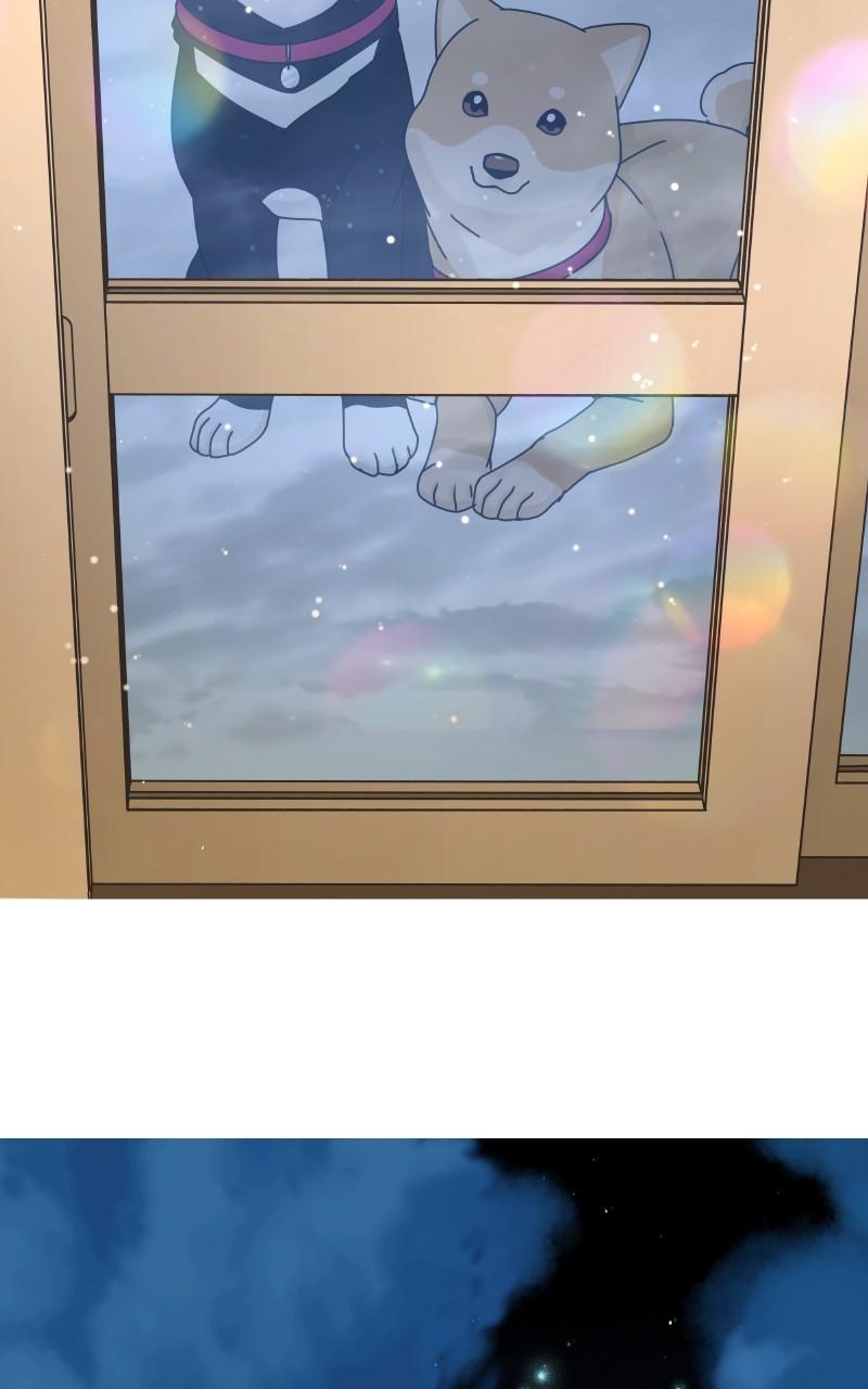 The Dog Diaries Chap 100 - Next Chap 101