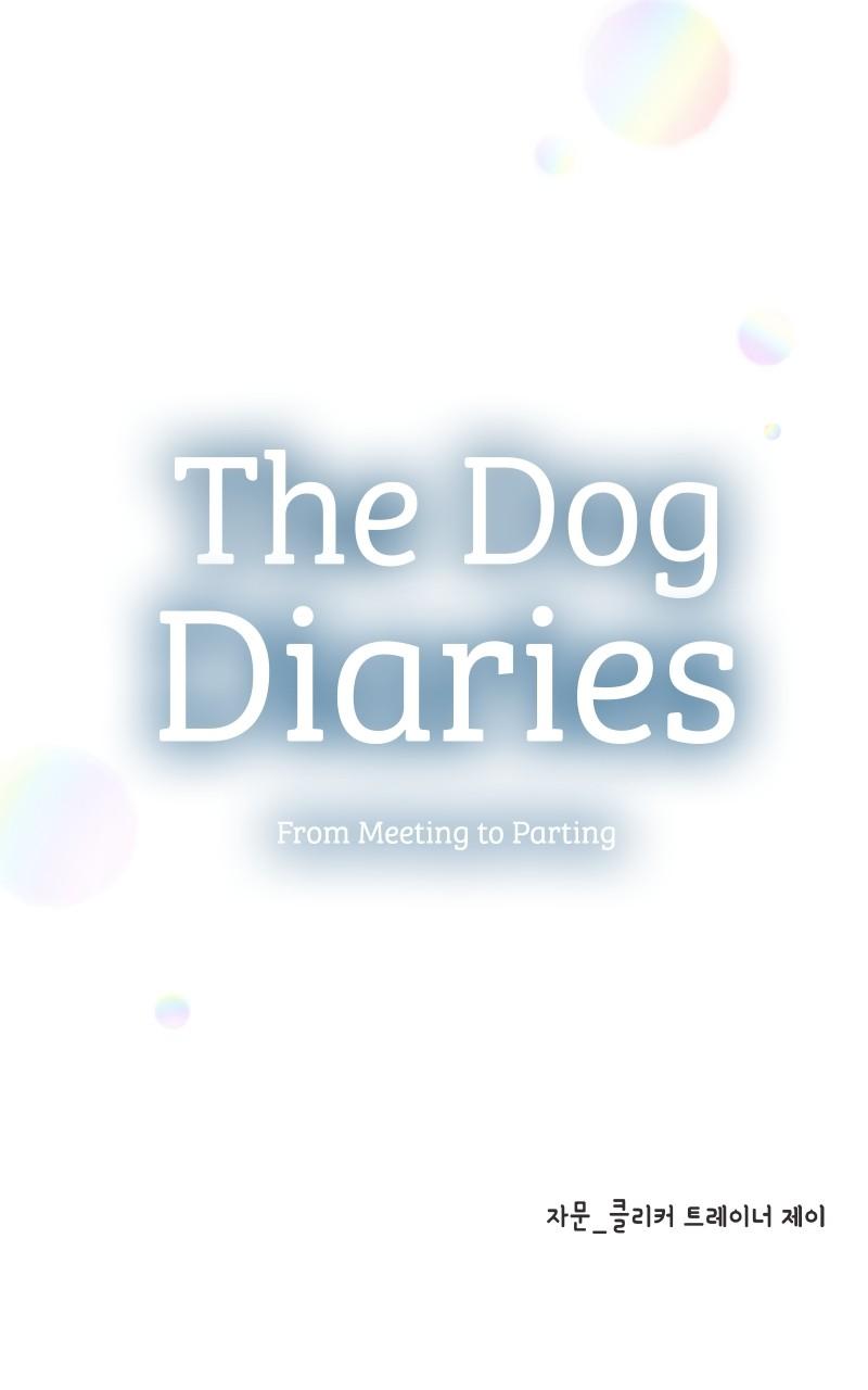 The Dog Diaries Chap 100 - Next Chap 101