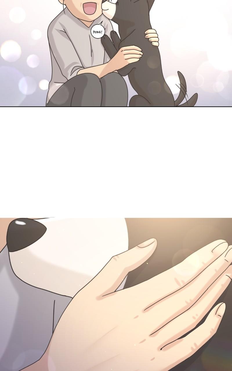 The Dog Diaries Chap 100 - Next Chap 101