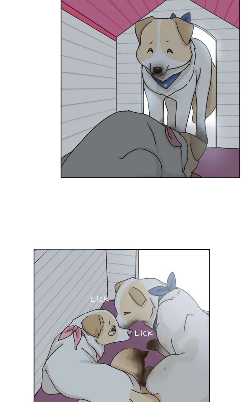 The Dog Diaries Chap 101 - Next Chap 102