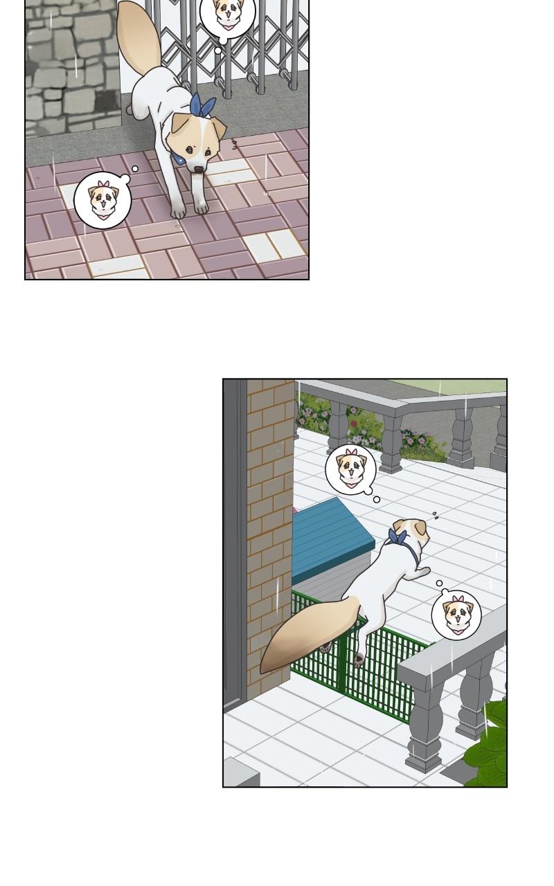 The Dog Diaries Chap 101 - Next Chap 102