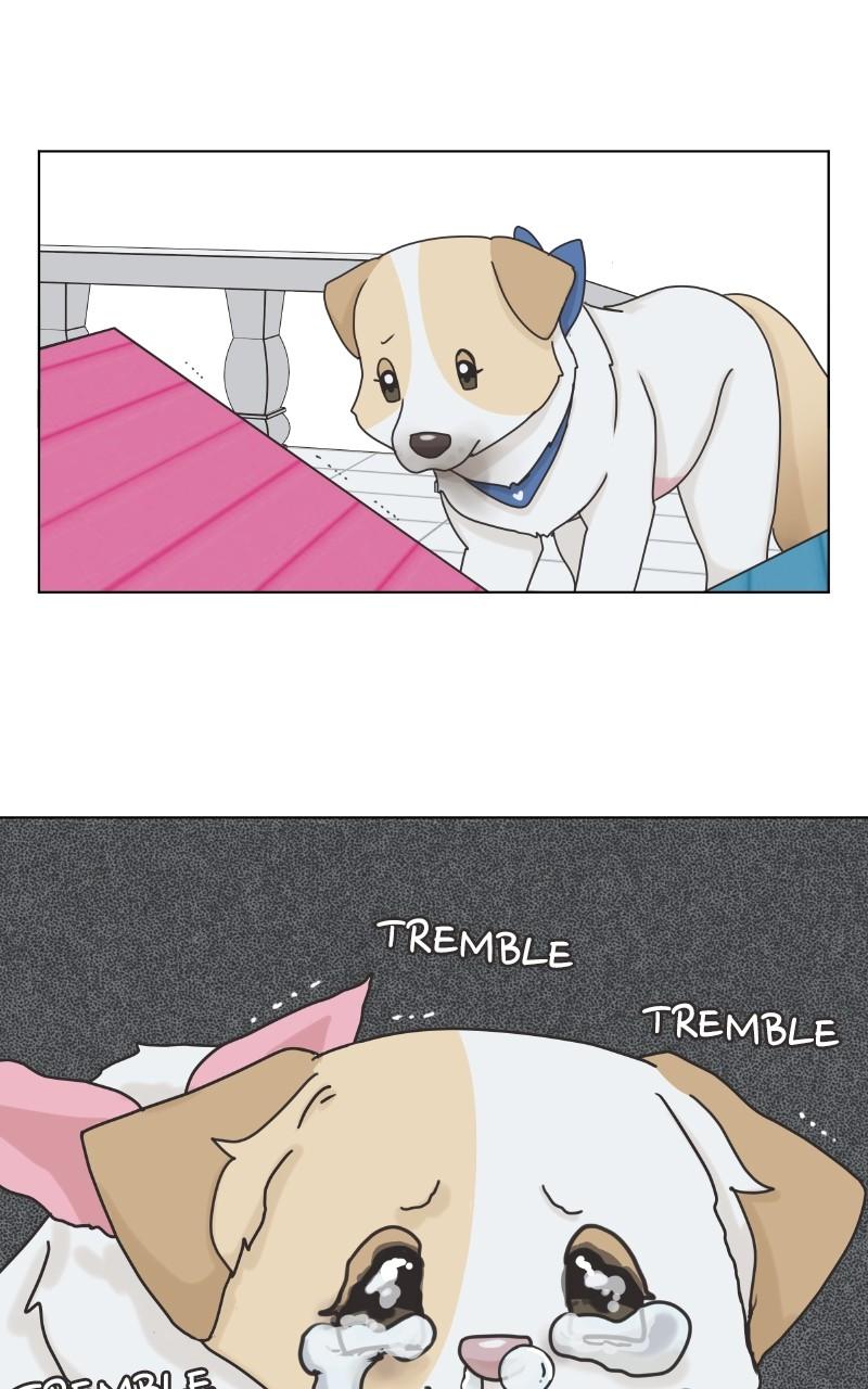 The Dog Diaries Chap 101 - Next Chap 102