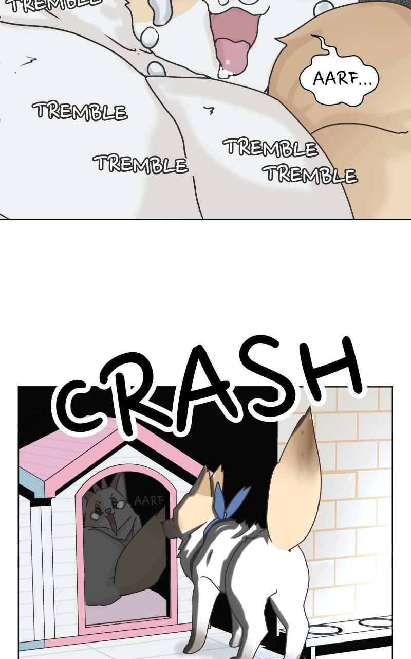 The Dog Diaries Chap 101 - Next Chap 102