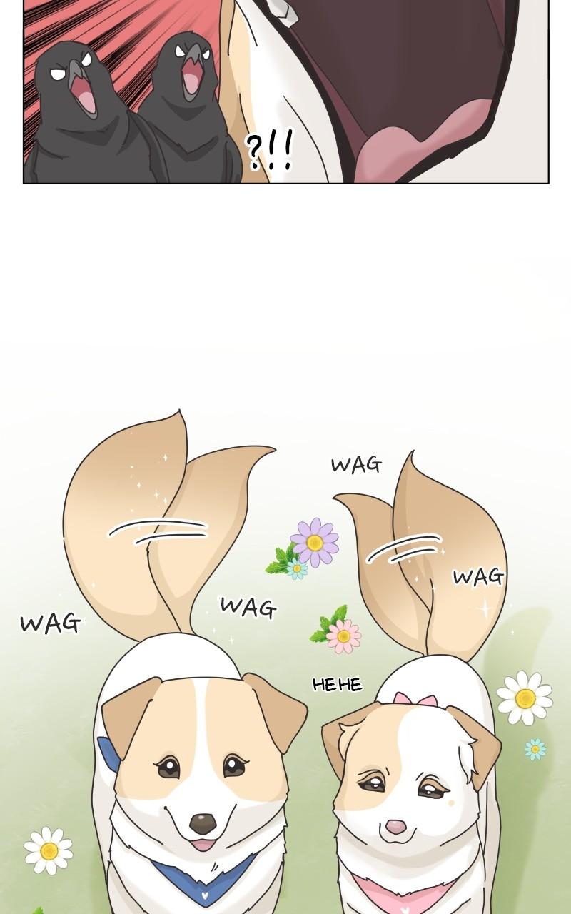 The Dog Diaries Chap 101 - Next Chap 102