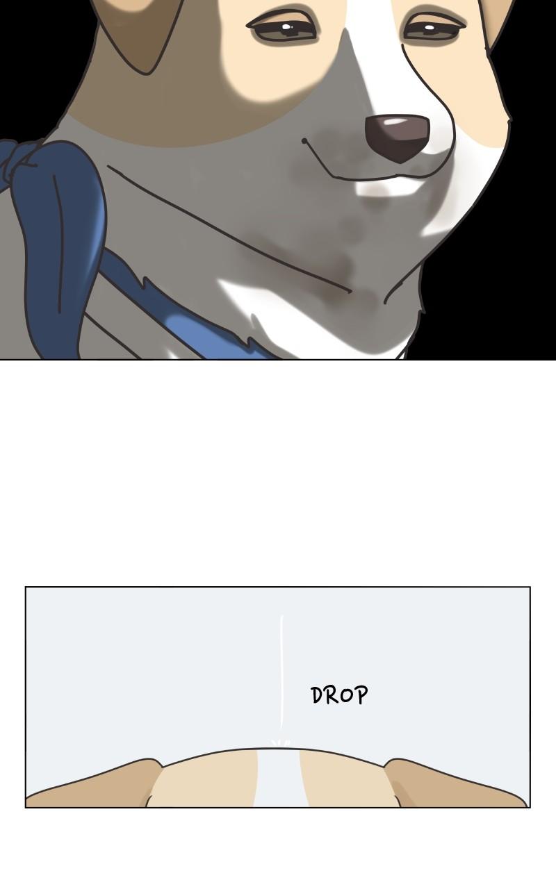 The Dog Diaries Chap 101 - Next Chap 102