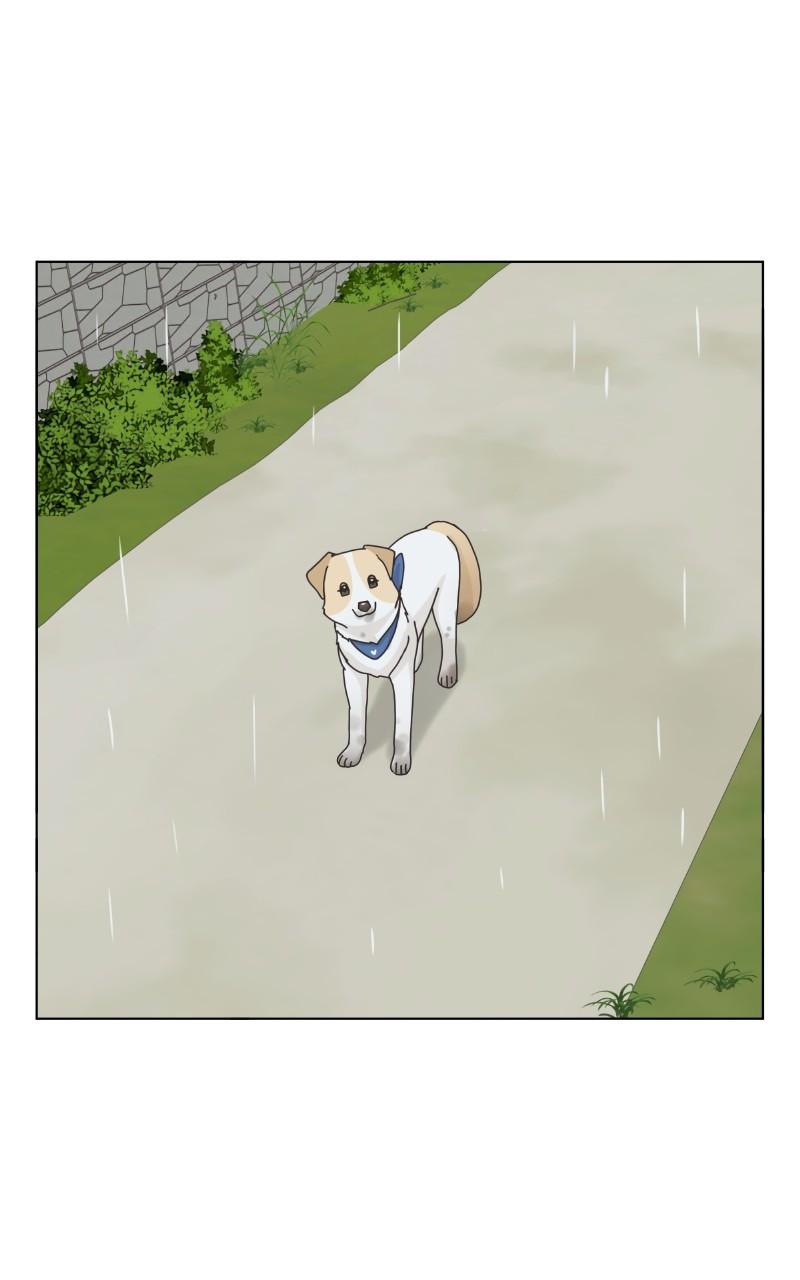 The Dog Diaries Chap 101 - Next Chap 102