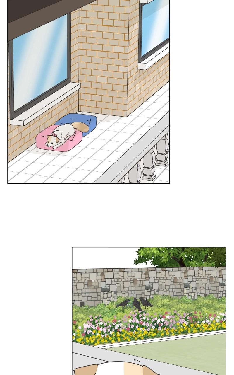 The Dog Diaries Chap 101 - Next Chap 102