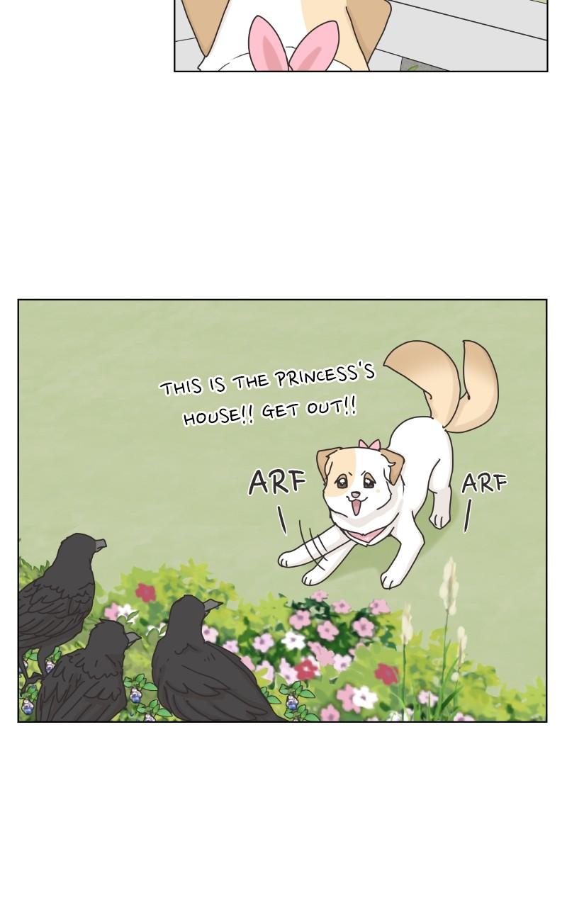The Dog Diaries Chap 101 - Next Chap 102