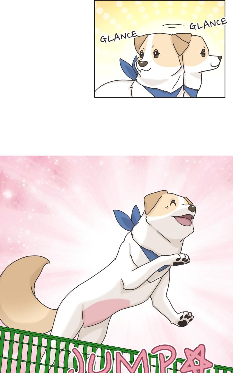 The Dog Diaries Chap 101 - Next Chap 102