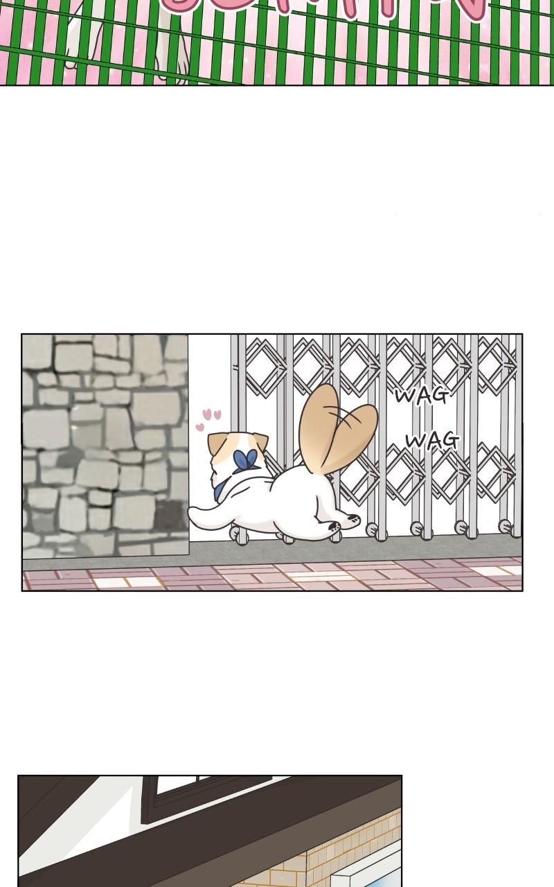 The Dog Diaries Chap 101 - Next Chap 102