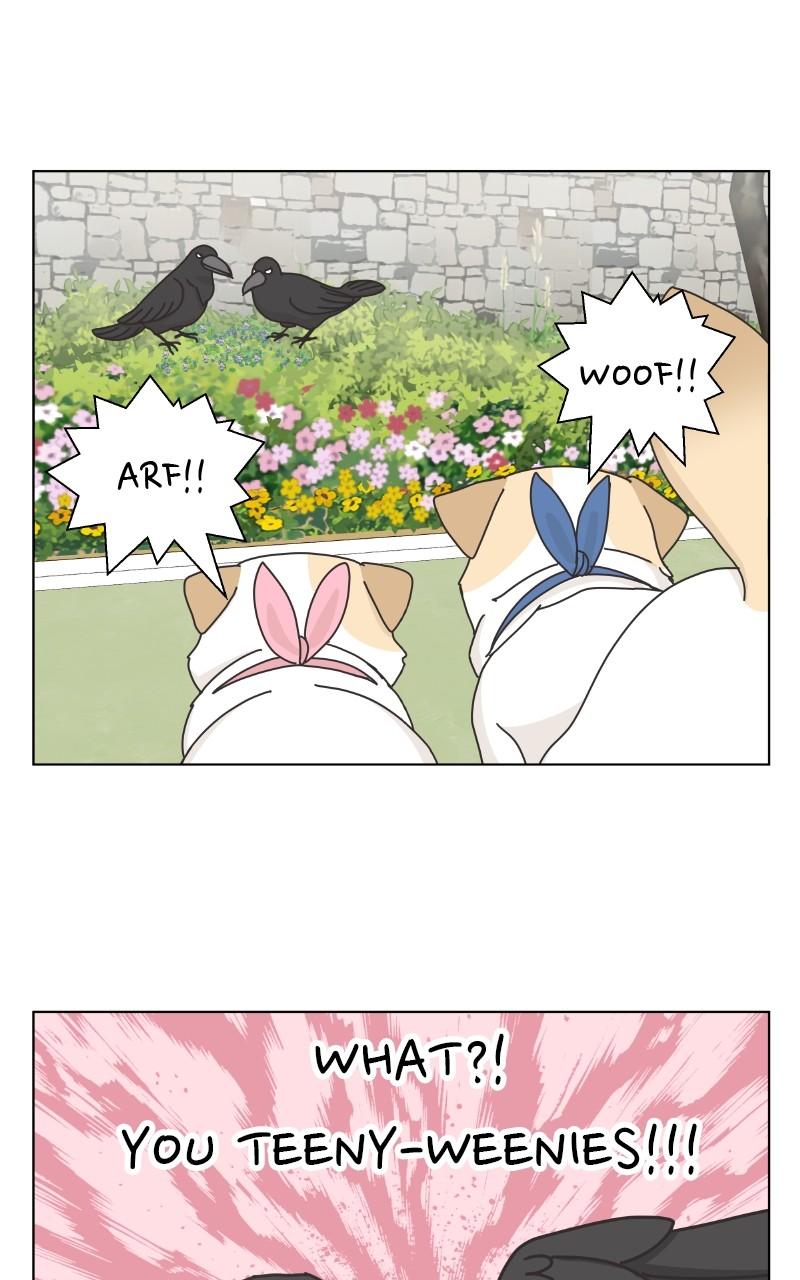 The Dog Diaries Chap 101 - Next Chap 102