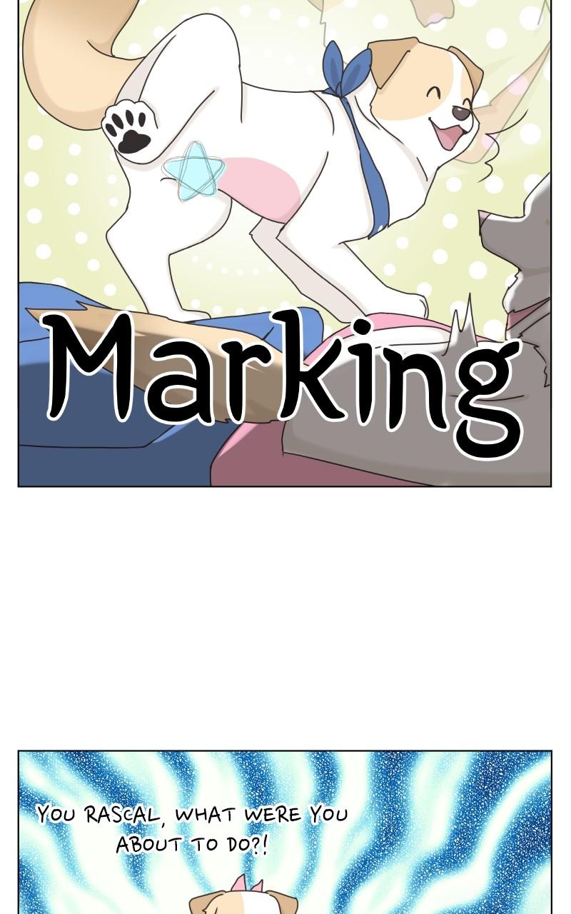 The Dog Diaries Chap 101 - Next Chap 102